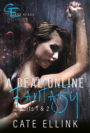 A Real Online Fantasy Parts 1 & 2【電子書籍