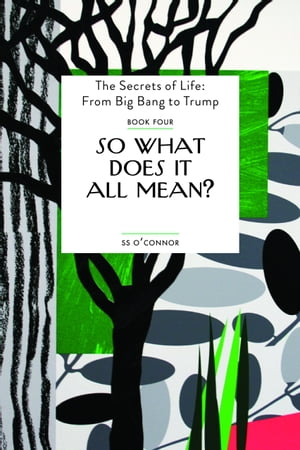 So What Does It All Mean? The Secrets of Life: From Big Bang to Trump【電子書籍】[ SS O'Connor ]