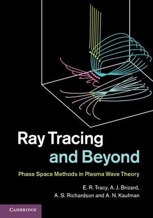 Ray Tracing and Beyond Phase Space Methods in Plasma Wave Theory