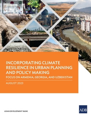 Incorporating Climate Resilience in Urban Planning and Policy Making