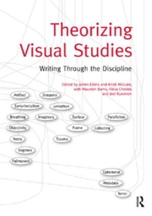 Theorizing Visual Studies