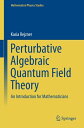 Perturbative Algebraic Quantum Field Theory An Introduction for Mathematicians