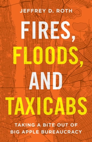 Fires, Floods, and Taxicabs Taking a Bite Out of Big Apple Bureaucracy