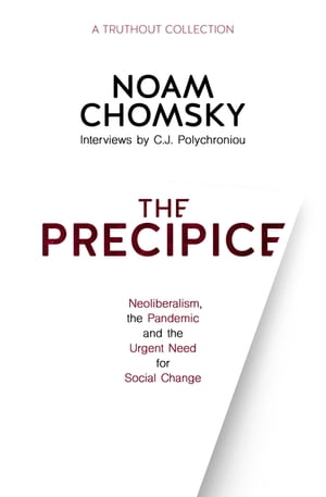 The Precipice Neoliberalism, the Pandemic and the Urgent Need for Social Change