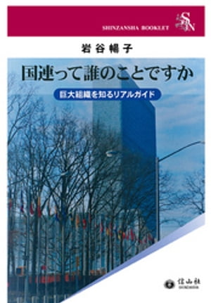 国連って誰のことですかー巨大組織を知るリアルガイド