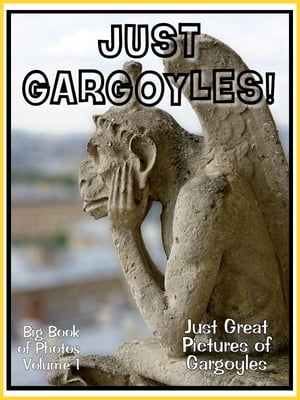 ŷKoboŻҽҥȥ㤨Just Gargoyle Photos! Big Book of Photographs & Pictures of Gargoyle Statues, Vol. 1Żҽҡ[ Big Book of Photos ]פβǤʤ487ߤˤʤޤ