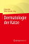 Dermatologie der Katze