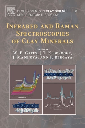 Infrared and Raman Spectroscopies of Clay Minerals