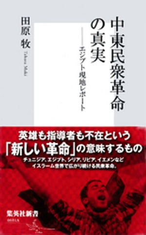 中東民衆革命の真実ーーエジプト現地レポート