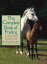 The Complete Book of Foaling