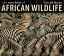 The Very Best of African Wildlife