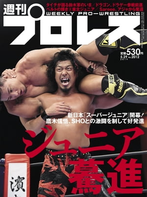 週刊プロレス 2019年 5/29号 No.2012