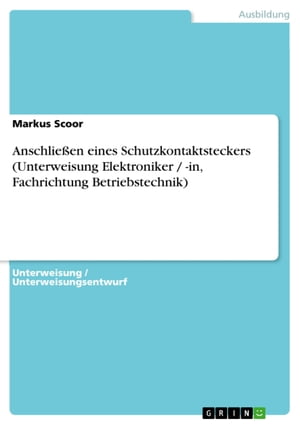 Anschlie?en eines Schutzkontaktsteckers (Unterweisung Elektroniker / -in, Fachrichtung Betriebstechnik)