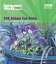 Gardeners' World - 101 Ideas for Pots