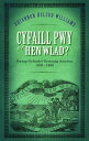 Cyfaill Pwy o'r Hen Wlad? Gwasg Gyfnodol Gymraeg America 1838-66【電子書籍】[ Rhiannon Heledd Williams ]
