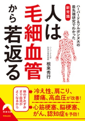 人は毛細血管から若返る