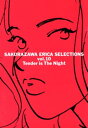 桜沢エリカ選集10「わたしに優しい夜」【電子書籍】 桜沢エリカ