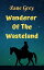 Wanderer Of The WastelandŻҽҡ[ Zane Grey ]