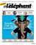 L'éléphant : La revue 01