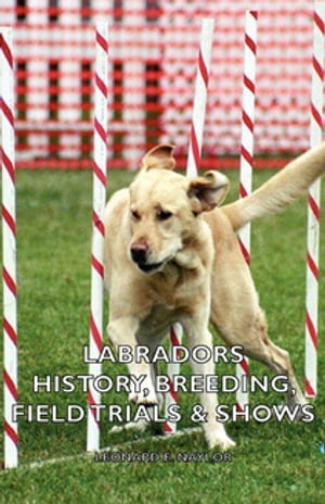Labradors - History, Breeding, Field Trials & Shows