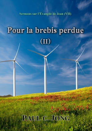 Sermons sur l’Évangile de Jean (VII)- Pour la brebis perdue (II)