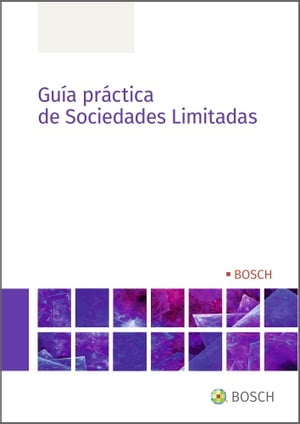 Guía práctica de Sociedades Limitadas