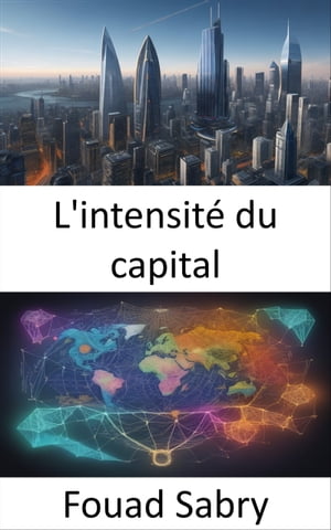 L'intensité du capital