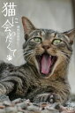猫に会いたくて 偶然は突然に・・・【電子書籍】