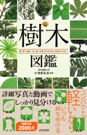 小池安比古