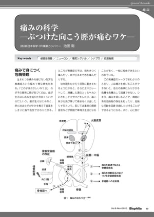 痛みの科学 ーぶつけた向こう脛が痛むワケー【電子書籍】[ 池田衛 ]