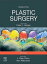 Plastic Surgery - E-Book Volume 2: Aesthetic SurgeryŻҽҡ[ J. Peter Rubin ]