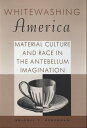 Whitewashing America Material Culture and Race in the Antebellum Imagination