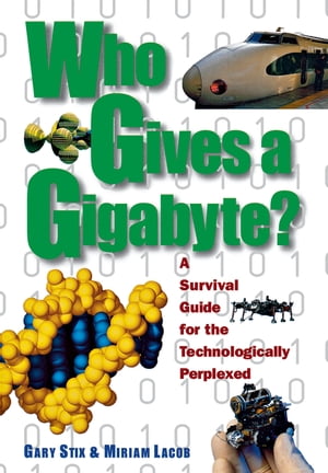 Who Gives a Gigabyte?