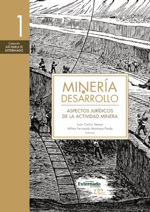 Minería y desarrollo. Tomo 1