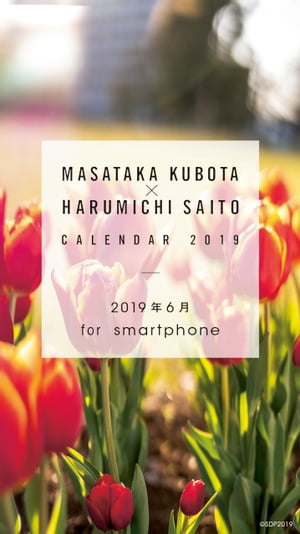 窪田正孝×写真家・齋藤陽道　カレンダー2019.6 for smartphone