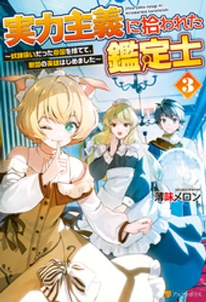 実力主義に拾われた鑑定士　奴隷扱いだった母国を捨てて、敵国の英雄はじめました３