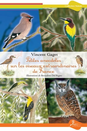 ŷKoboŻҽҥȥ㤨Petites anecdotes sur les oiseaux extraordinaires de France Tout savoir sur les diff?rentes esp?cesŻҽҡ[ Vincent Gaget ]פβǤʤ1,050ߤˤʤޤ