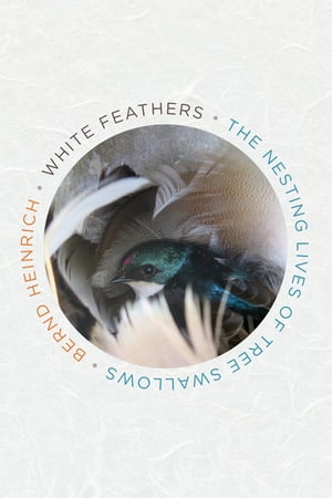 White Feathers The Nesting Lives of Tree SwallowsŻҽҡ[ Bernd Heinric...