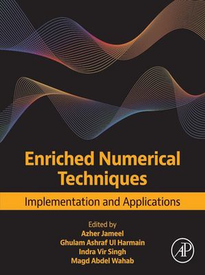 Enriched Numerical Techniques