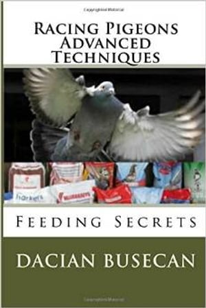 Racing Pigeons Advanced Techniques- Feeding Secrets