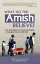 What Do the Amish Believe?: The Doctrine of the Plain People Compared with Scripture