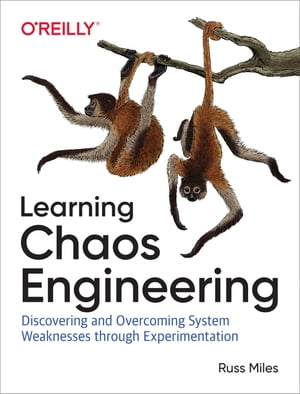 Learning Chaos Engineering Discovering and Overcoming System Weaknesses Through Experimentation