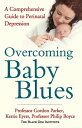 Overcoming Baby Blues A comprehensive guide to perinatal depression