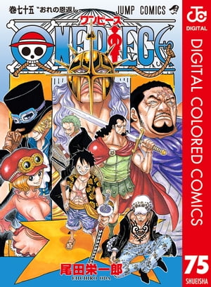 ONE PIECE カラー版 75