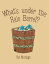 Whats Under the Rain Barrel?Żҽҡ[ Pat Murtagh ]