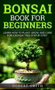 Bonsai Book for Beginners: Learn How to Plant, Grow, and Care for a Bonsai Tree ...