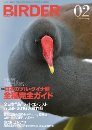 BIRDER2017年2月号