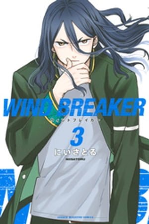 ＷＩＮＤ　ＢＲＥＡＫＥＲ（３）