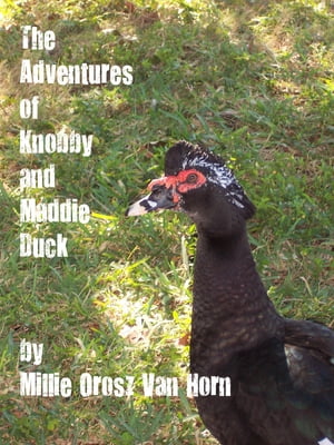 The Adventures Of Knobby And Maddie Duck