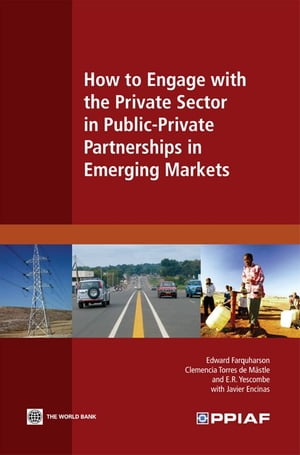 How to Engage with the Private Sector in Public-Private Partnerships in Emerging Markets